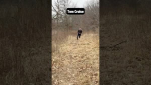 Wie Schauspieler stolpern w&uuml;rden | Lustiges | Was is hier eigentlich los?