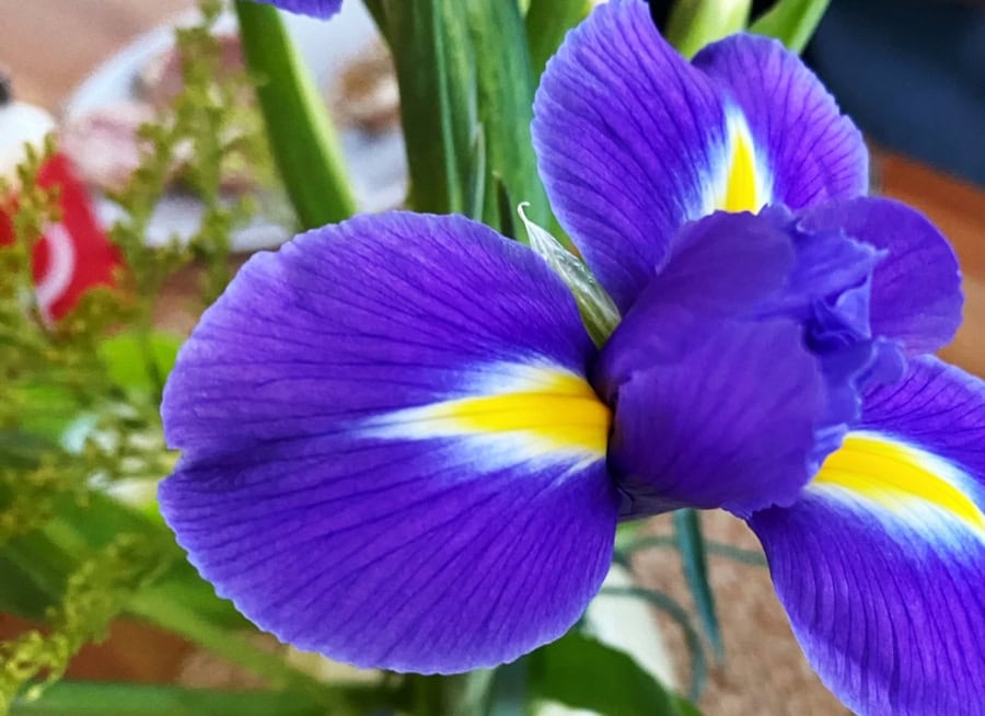 Das war meine Woche &ndash; KW 02 / 2025 | Alltagsgeschichten | Was is hier eigentlich los?