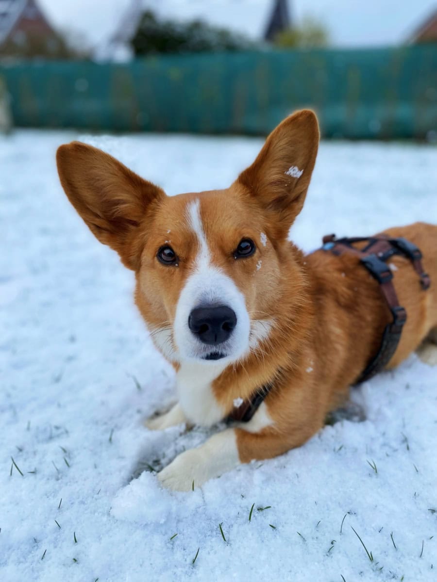 Das war meine Woche &ndash; KW 02 / 2025 | Alltagsgeschichten | Was is hier eigentlich los?