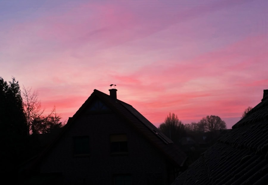 Das war meine Woche &ndash; KW 04 / 2025 | Alltagsgeschichten | Was is hier eigentlich los?