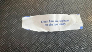 Tipp des Tages | Lustiges | Was is hier eigentlich los?