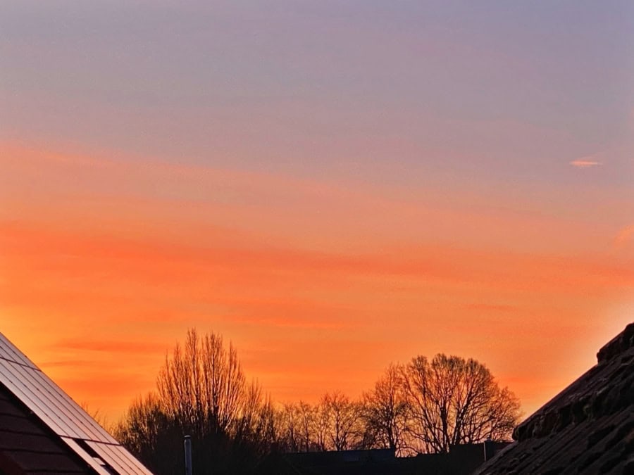 Das war meine Woche &ndash; KW 08 / 2025 | Alltagsgeschichten | Was is hier eigentlich los?