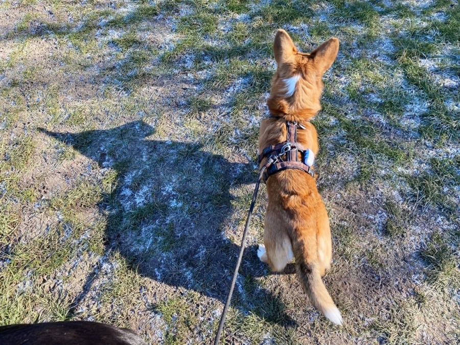 Das war meine Woche &ndash; KW 08 / 2025 | Alltagsgeschichten | Was is hier eigentlich los?