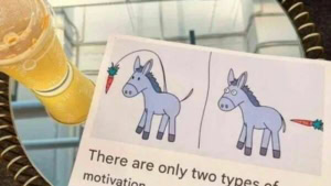 Die zwei Arten der Motivation | Awesome | Was is hier eigentlich los?