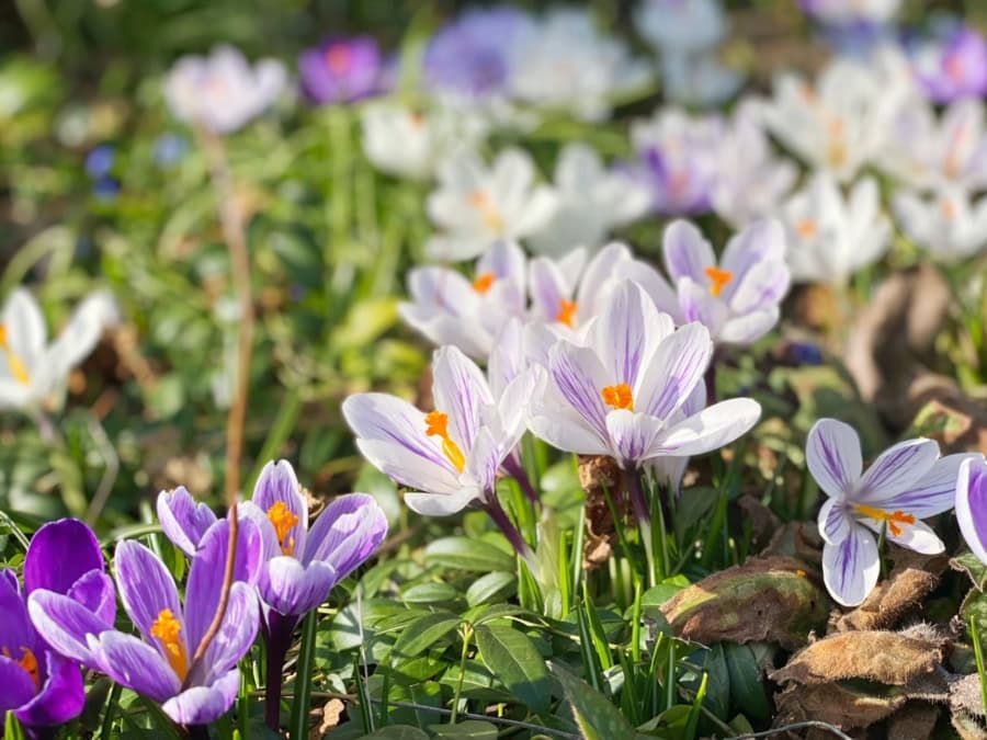 Das war meine Woche &ndash; KW 10 / 2025 | Alltagsgeschichten | Was is hier eigentlich los?