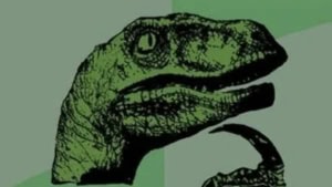 Aus gegebenem Anlass | Lustiges | Was is hier eigentlich los?