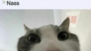 Der Schwindel mit getrockneten Tomaten | Lustiges | Was is hier eigentlich los?