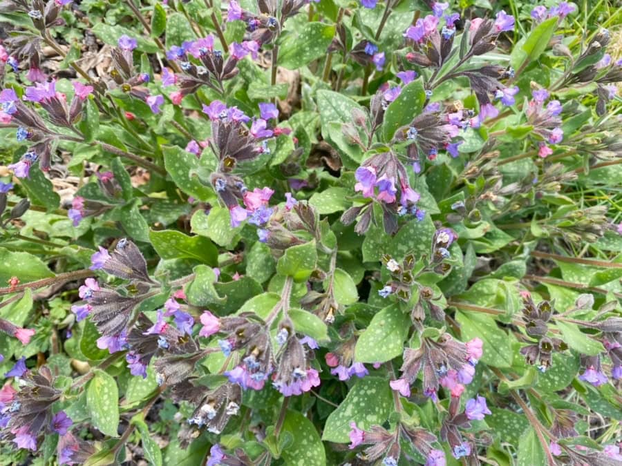 Das war meine Woche &ndash; KW 16 / 2025 | Alltagsgeschichten | Was is hier eigentlich los?