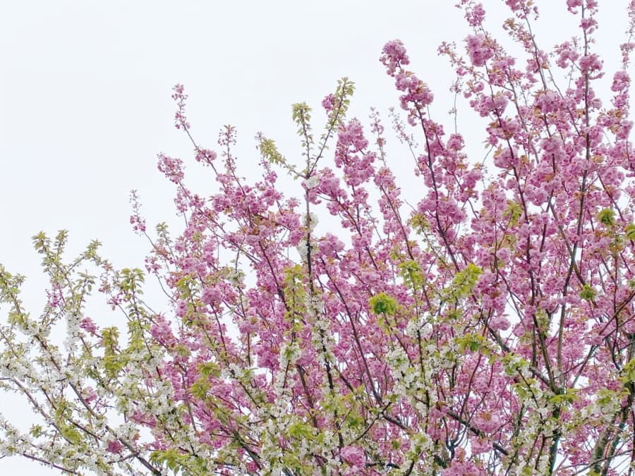 Das war meine Woche &ndash; KW 16 / 2025 | Alltagsgeschichten | Was is hier eigentlich los?