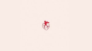 Boy Loco - My Soul | Musik | Was is hier eigentlich los?