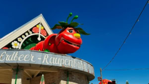 Das war meine Woche &ndash; KW 19 / 2025 | Alltagsgeschichten | Was is hier eigentlich los?