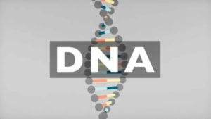 DNA okay verkl&auml;rt | Was gelernt | Was is hier eigentlich los?