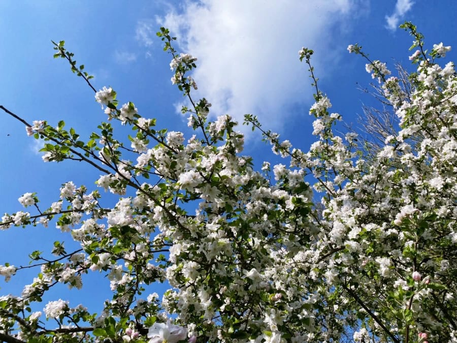 Das war meine Woche &ndash; KW 20 / 2025 | Alltagsgeschichten | Was is hier eigentlich los?