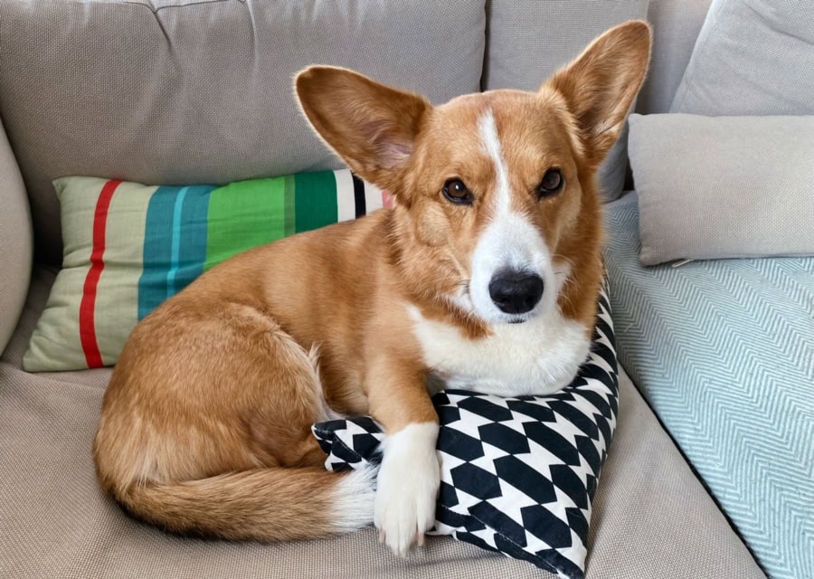 Das war meine Woche &ndash; KW 20 / 2025 | Alltagsgeschichten | Was is hier eigentlich los?