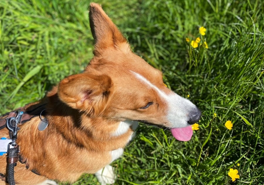 Das war meine Woche &ndash; KW 20 / 2025 | Alltagsgeschichten | Was is hier eigentlich los?