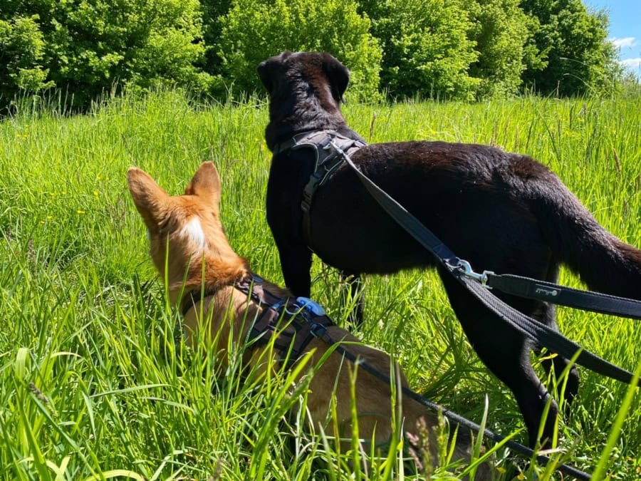 Das war meine Woche &ndash; KW 20 / 2025 | Alltagsgeschichten | Was is hier eigentlich los?