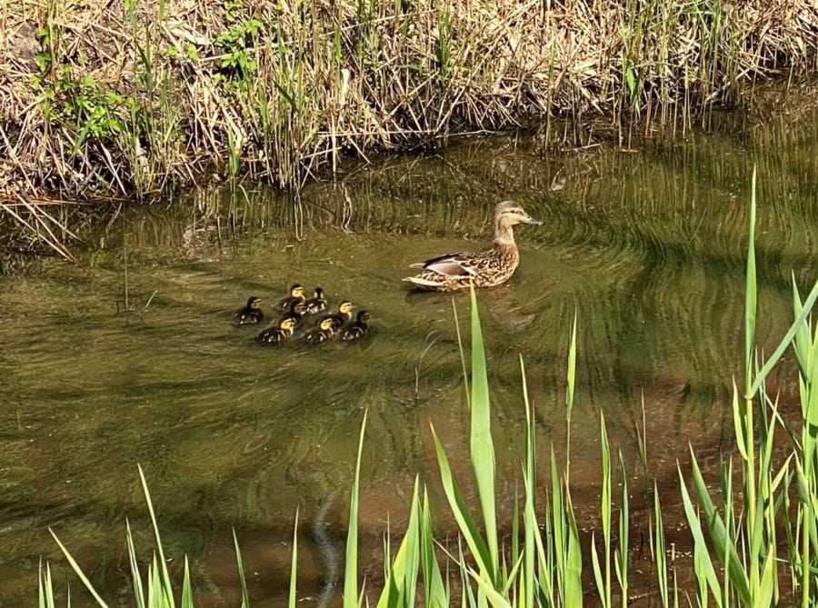 Das war meine Woche &ndash; KW 18 / 2025 | Alltagsgeschichten | Was is hier eigentlich los?