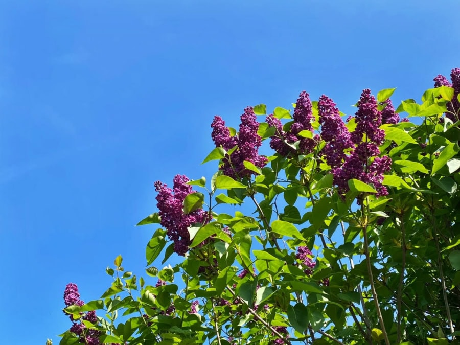 Das war meine Woche &ndash; KW 18 / 2025 | Alltagsgeschichten | Was is hier eigentlich los?