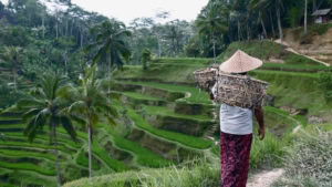 Bali | Travel | Was is hier eigentlich los?