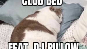 Bester Club, in dem ich je war | Awesome | Was is hier eigentlich los?