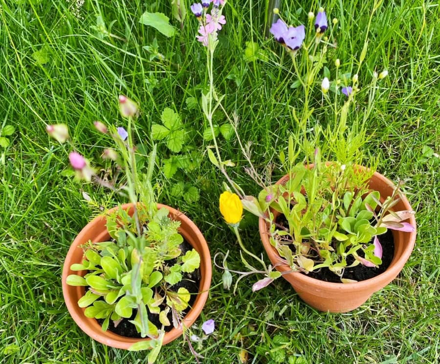 Das war meine Woche &ndash; KW 24 / 2025 | Alltagsgeschichten | Was is hier eigentlich los?