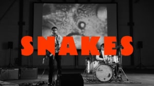 Red Ocean - Snakes | Musik | Was is hier eigentlich los?