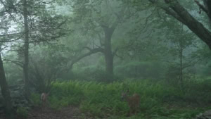 Das Zeitreise-Puzzle-Spiel &bdquo;Recur&ldquo; | Games | Was is hier eigentlich los?