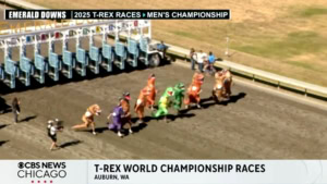 Die T-Rex World Championship Races | Lustiges | Was is hier eigentlich los?