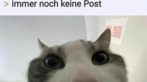 Immer &Auml;rger mit der Post | Lustiges | Was is hier eigentlich los?