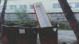 Wenn gro&szlig;e Freude und Entt&auml;uschung ganz dicht beieinander liegen | Lustiges | Was is hier eigentlich los?