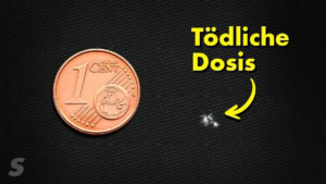 Nur ein Link-Verl&auml;ngerer | Nerd-Kram | Was is hier eigentlich los?