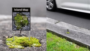 Mini-Street-Art von Michael Pederson | Design/Kunst | Was is hier eigentlich los?