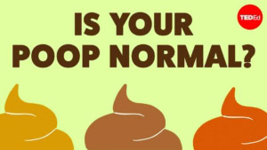 Was Kacke &uuml;ber deine Gesundheit sagen kann | Was gelernt | Was is hier eigentlich los?