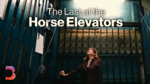 Eine letzte Fahrt in New Yorks Pferdeaufzug | Zeitgeschichte | Was is hier eigentlich los?