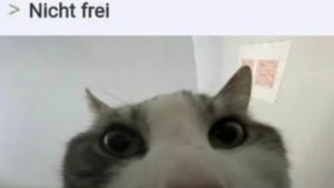 Freitag auch nur eine Mogelpackung | Lustiges | Was is hier eigentlich los?