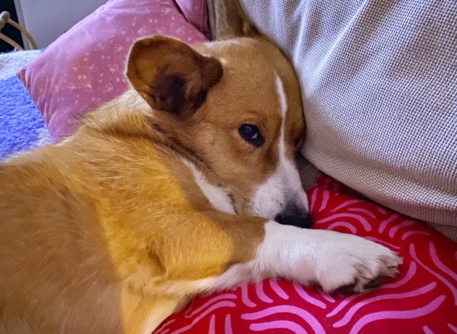 Das war meine Woche &ndash; KW 36 / 2025 | Alltagsgeschichten | Was is hier eigentlich los?