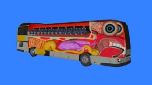 Wie ein Bus in Wahrheit funktioniert | Animation, WTF | Was is hier eigentlich los?