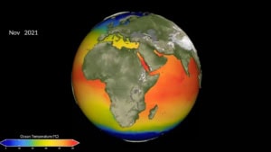 Wir sind am *rsch, sagt Harald Lesch | Was gelernt, WTF | Was is hier eigentlich los?