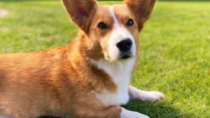 Das war meine Woche &ndash; KW 40 / 2025 | Alltagsgeschichten | Was is hier eigentlich los?