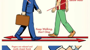 Wie man sich ein Ferro Pet einfach selbst bastelt | Gadgets, Handwerk | Was is hier eigentlich los?