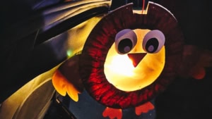 Win-Compilation November 2025 | Win-Compilation | Was is hier eigentlich los?