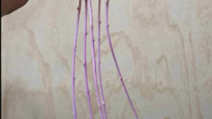 Durchbruch in der Wissenschaft: Der erste Kartoffel-Flamingo | Lustiges | Was is hier eigentlich los?