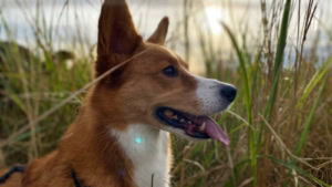 Das war meine Woche &ndash; KW 46 / 2025 | Alltagsgeschichten | Was is hier eigentlich los?