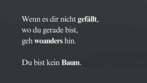 Immer dran denken: Wir sind keine B&auml;ume | Lustiges | Was is hier eigentlich los?