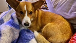 Das war meine Woche &ndash; KW 50 / 2025 | Alltagsgeschichten | Was is hier eigentlich los?