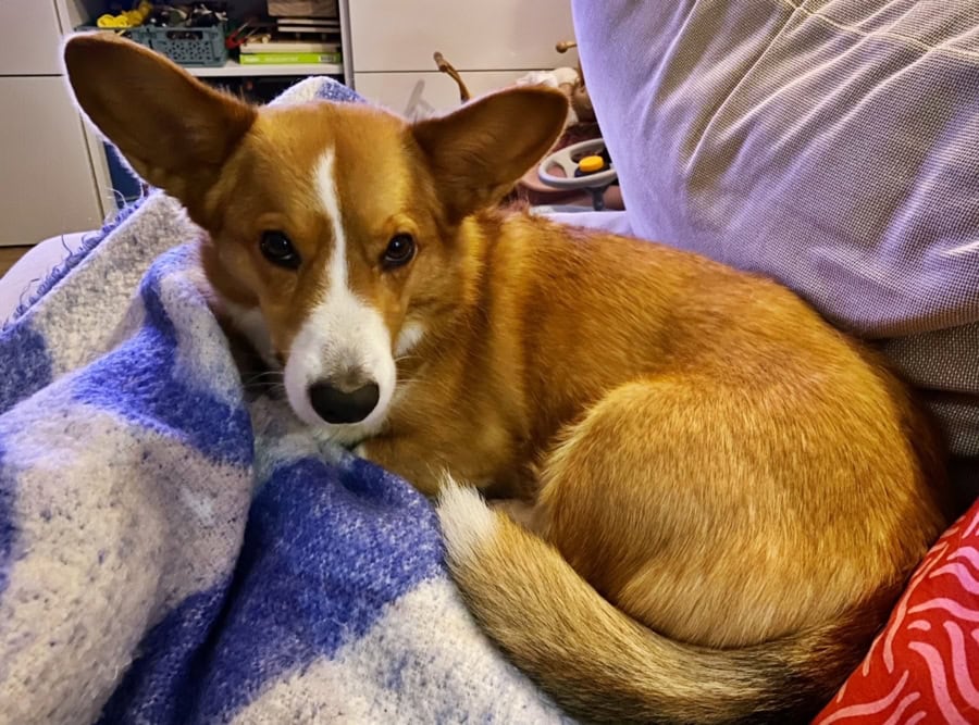 Das war meine Woche &ndash; KW 50 / 2025 | Alltagsgeschichten | Was is hier eigentlich los?