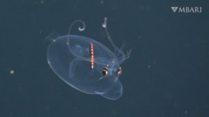 Cycling Cities &ndash; Der Film | Travel | Was is hier eigentlich los?