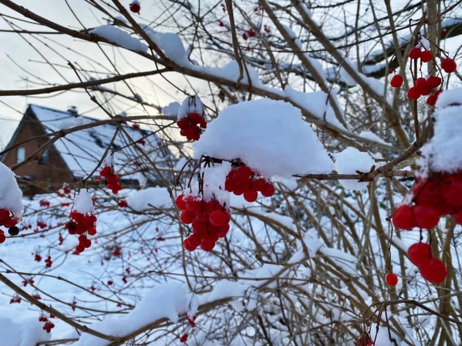 Das war meine Woche &ndash; KW 02 / 2026 | Alltagsgeschichten | Was is hier eigentlich los?