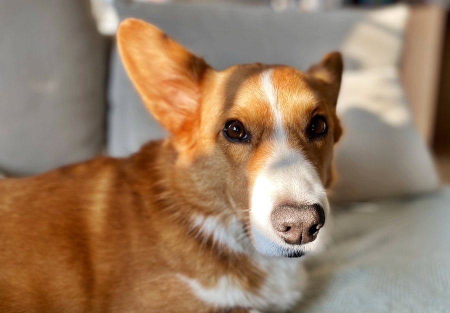 Das war meine Woche &ndash; KW 04 / 2026 | Alltagsgeschichten | Was is hier eigentlich los?