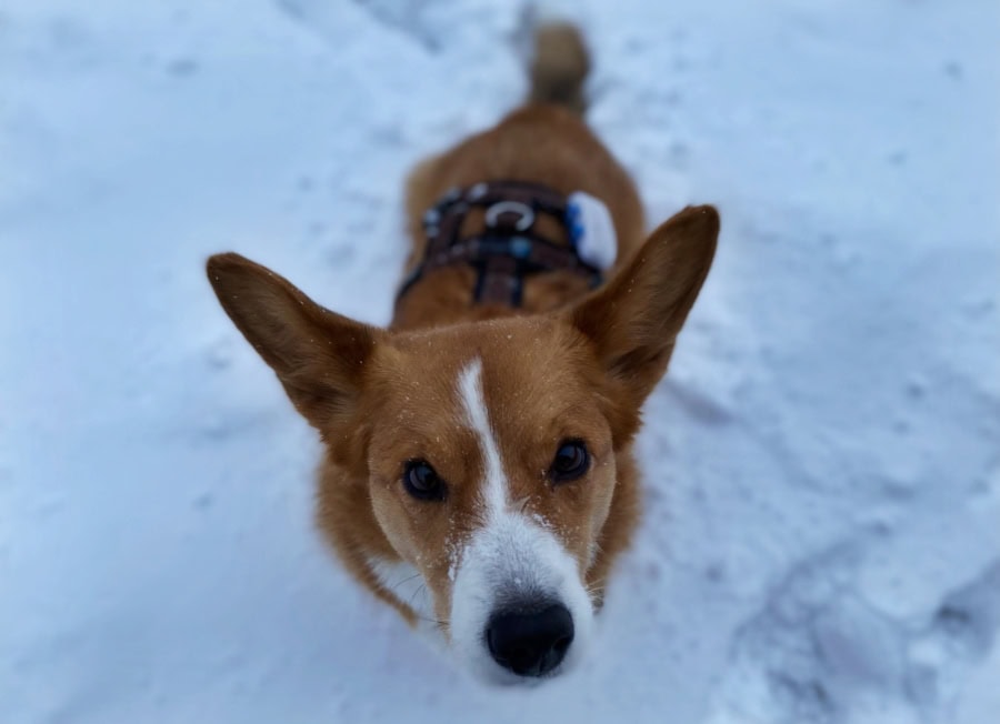 Das war meine Woche &ndash; KW 02 / 2026 | Alltagsgeschichten | Was is hier eigentlich los?